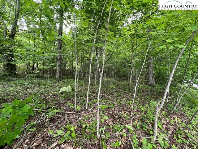 $34,900 | Lot 5 Grande Oaks Drive, Todd, NC 28684