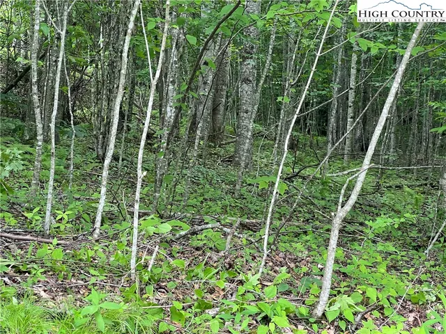 $34,900 | Lot 5 Grande Oaks Drive, Todd, NC 28684