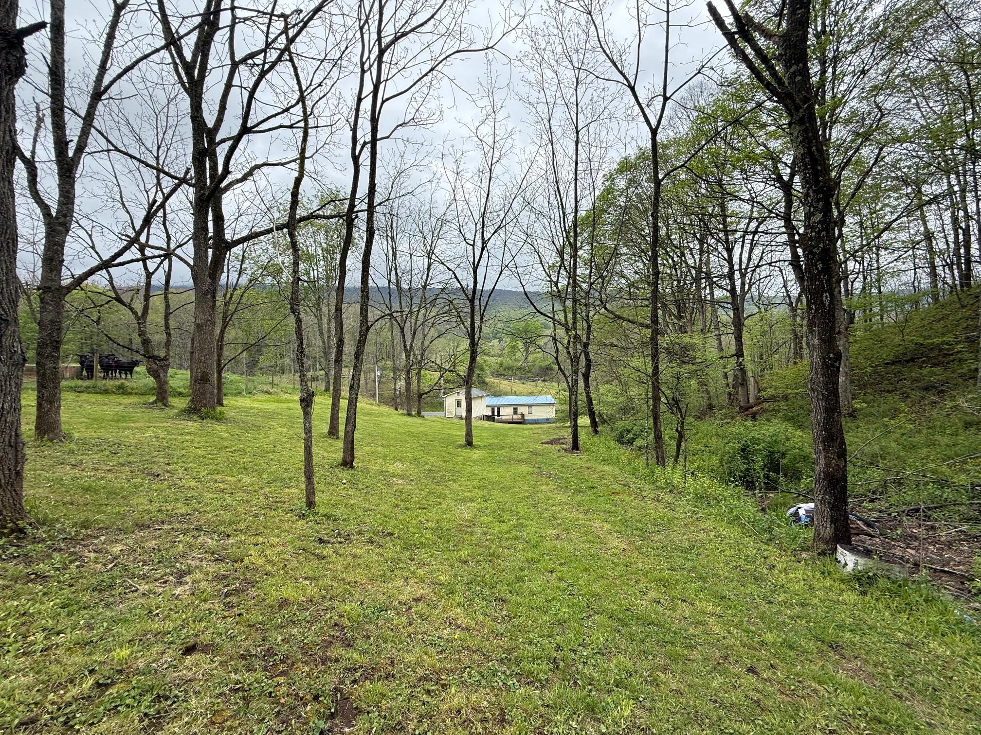 2468 Vly Ctr Road Monterey, VA 24465 - Photo 25 of 28 a view of a trees with a backyard
