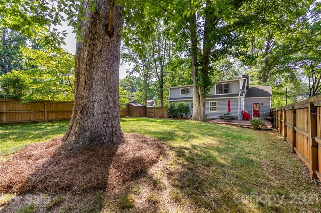 816 Sedgefield Road Charlotte, NC 28209 - Photo 26 of 29 a view of a yard in front of house with a large tree