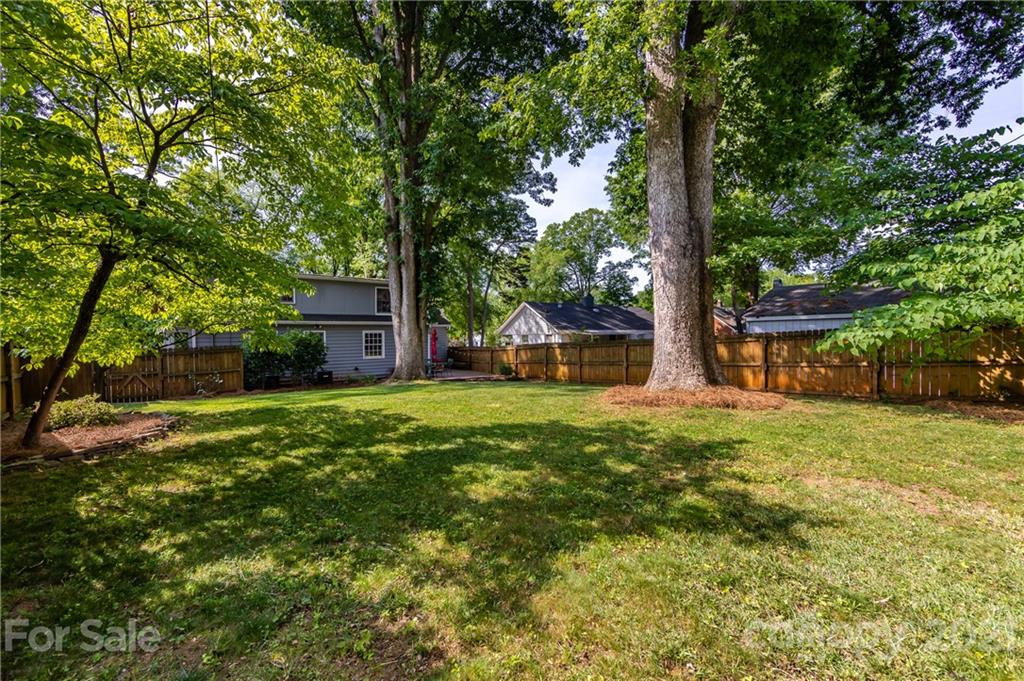 816 Sedgefield Road Charlotte, NC 28209 - Photo 27 of 29 a view of a house with backyard and a tree