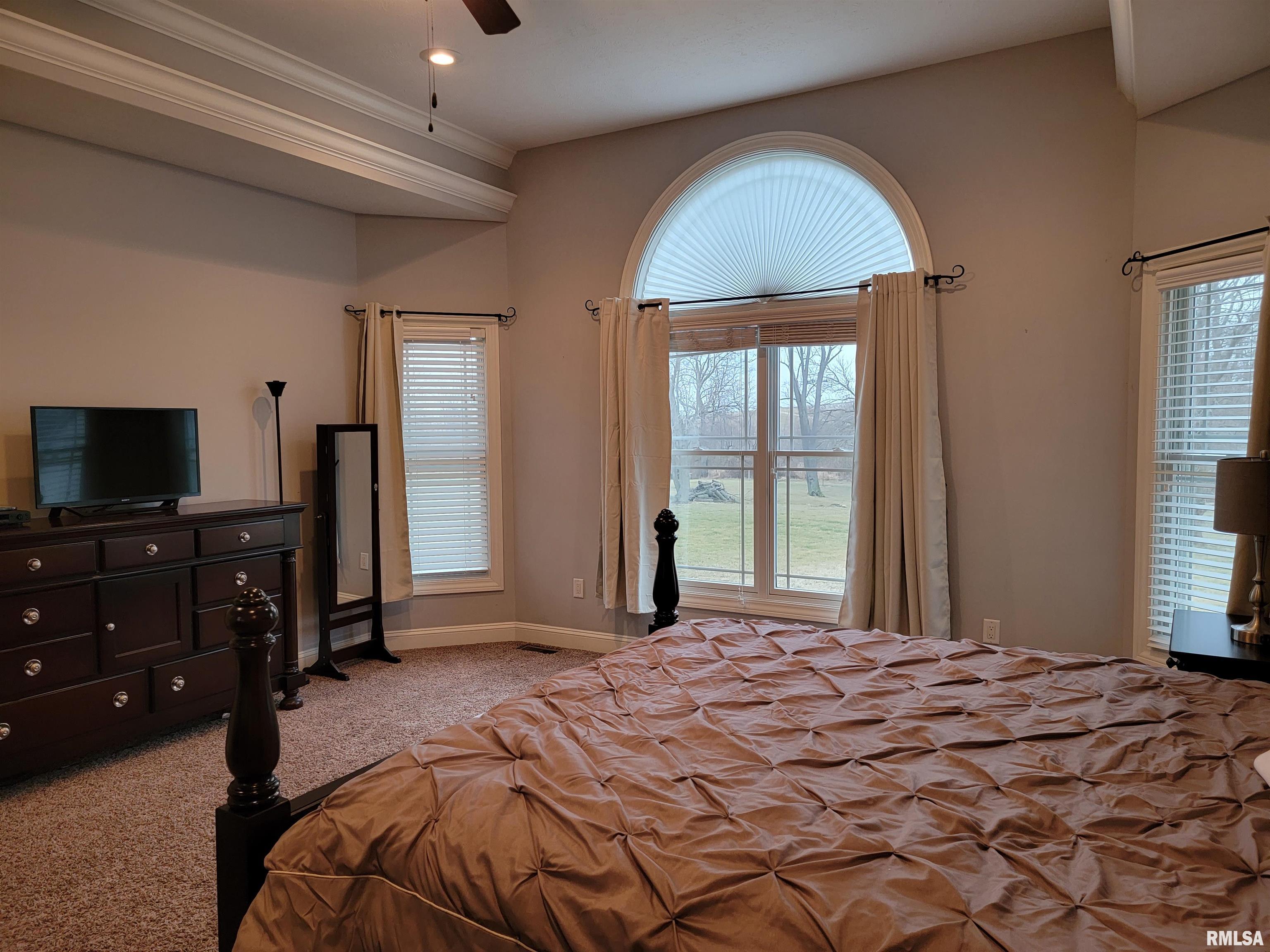 21585 East Brereton Road Canton, IL 61520 - Photo 32 of 92