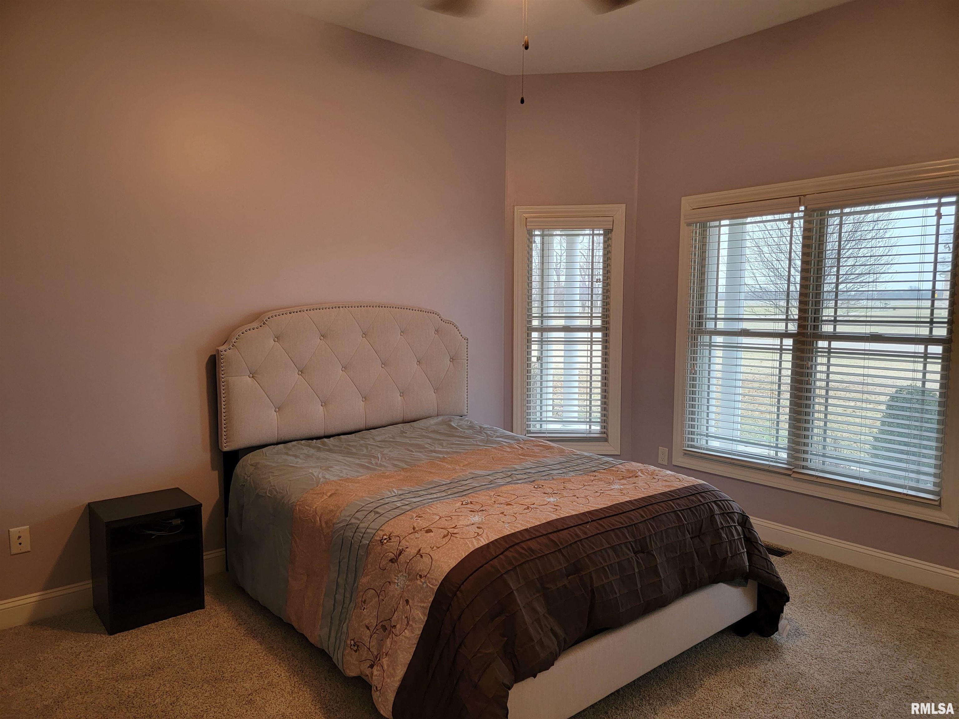 21585 East Brereton Road Canton, IL 61520 - Photo 44 of 92