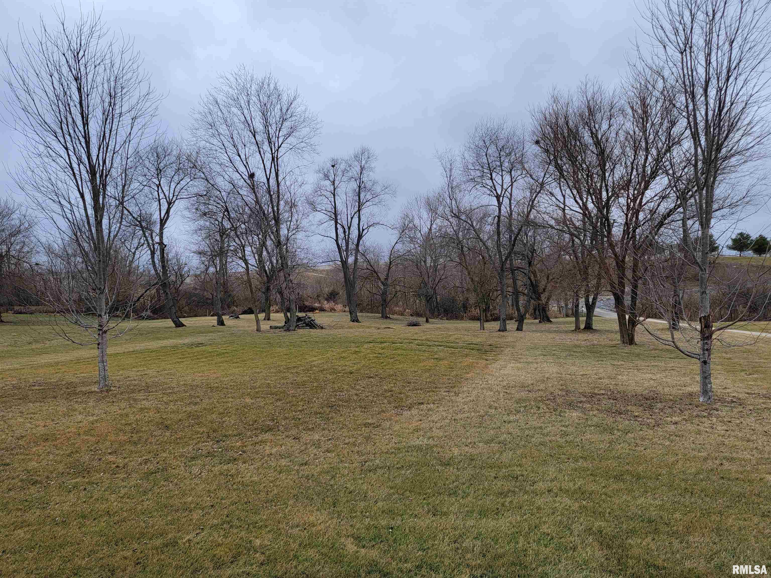 21585 East Brereton Road Canton, IL 61520 - Photo 91 of 92