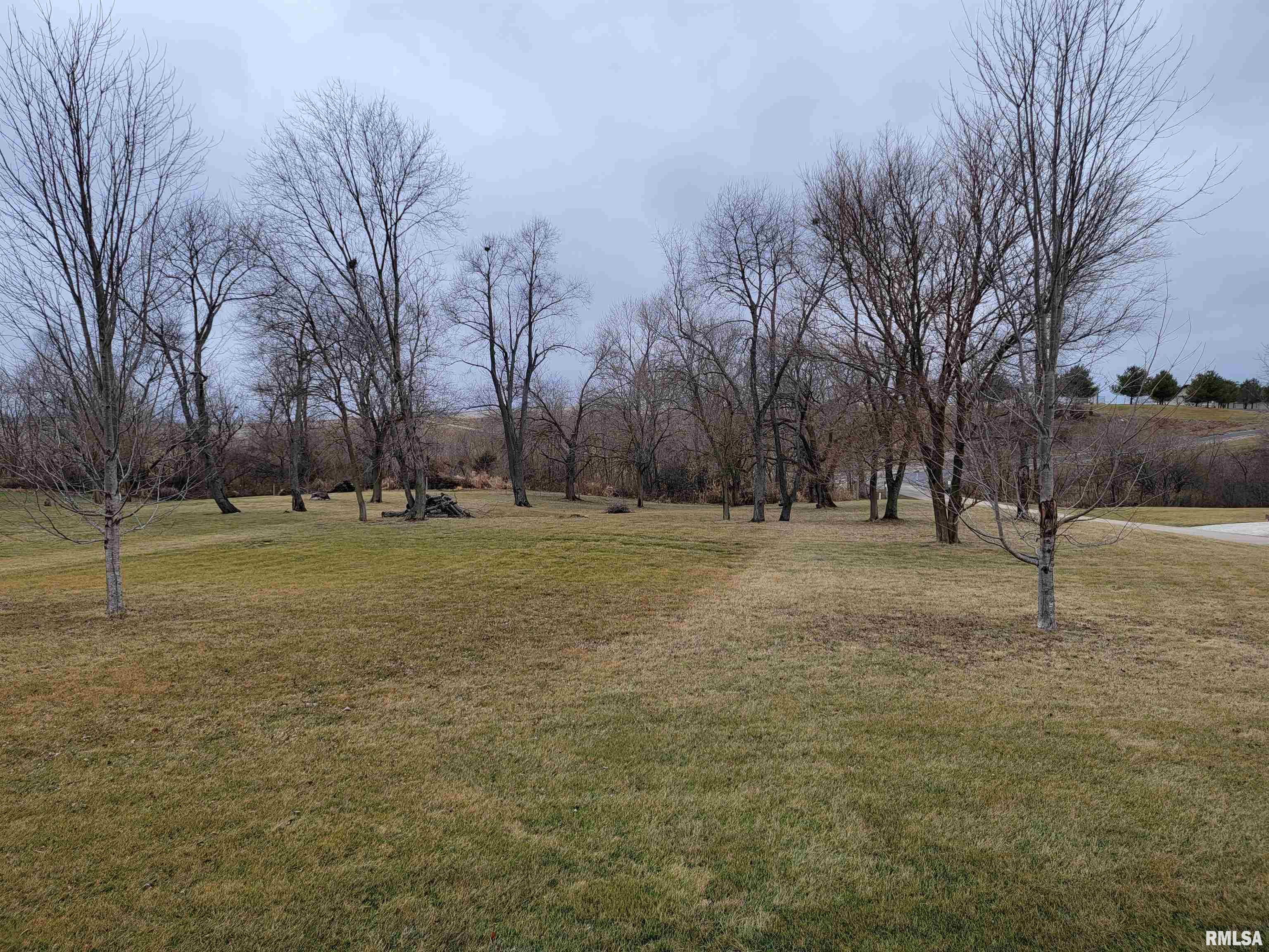 21585 East Brereton Road Canton, IL 61520 - Photo 92 of 92