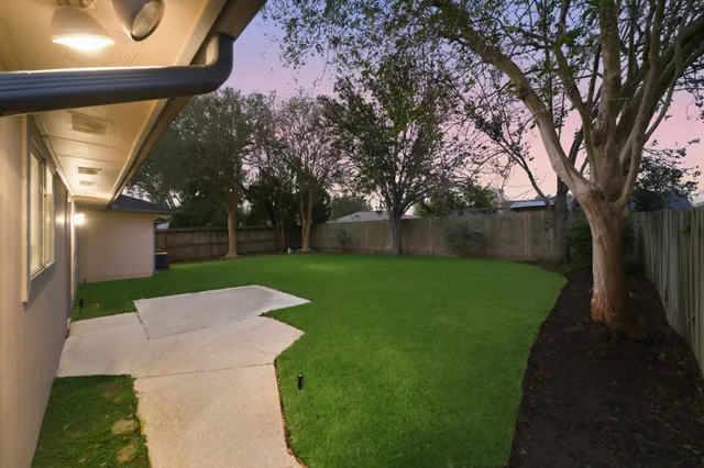 a view of a yard with plants and large trees