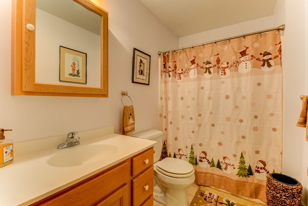 150 Indian Pipe Road Franconia, NH 03580 - Photo 27 of 39