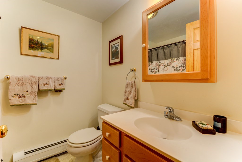 150 Indian Pipe Road Franconia, NH 03580 - Photo 32 of 39