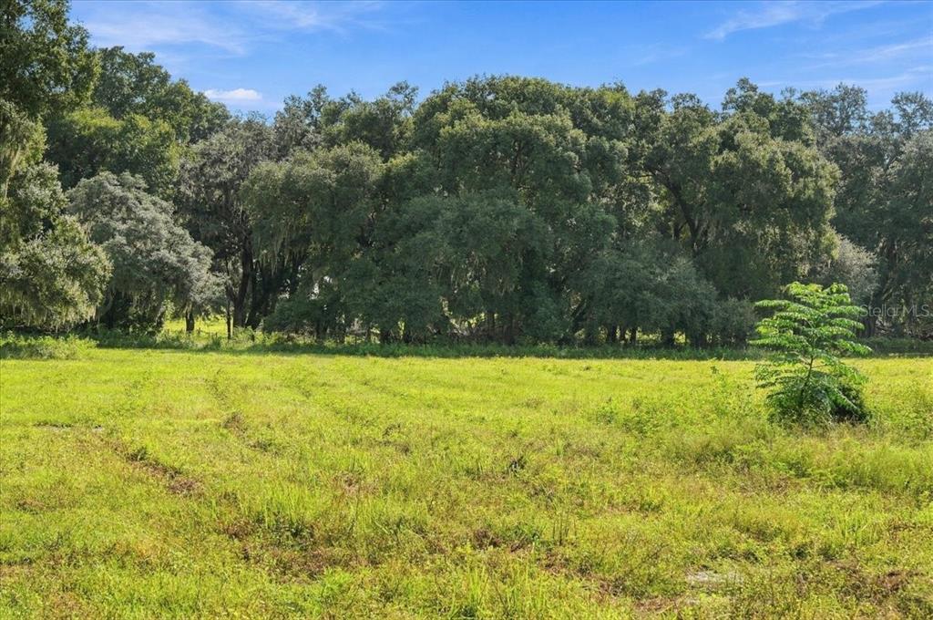 39410 Sparkman Road Dade City, FL 33525 - Photo 14 of 26 Gallery Image 14
