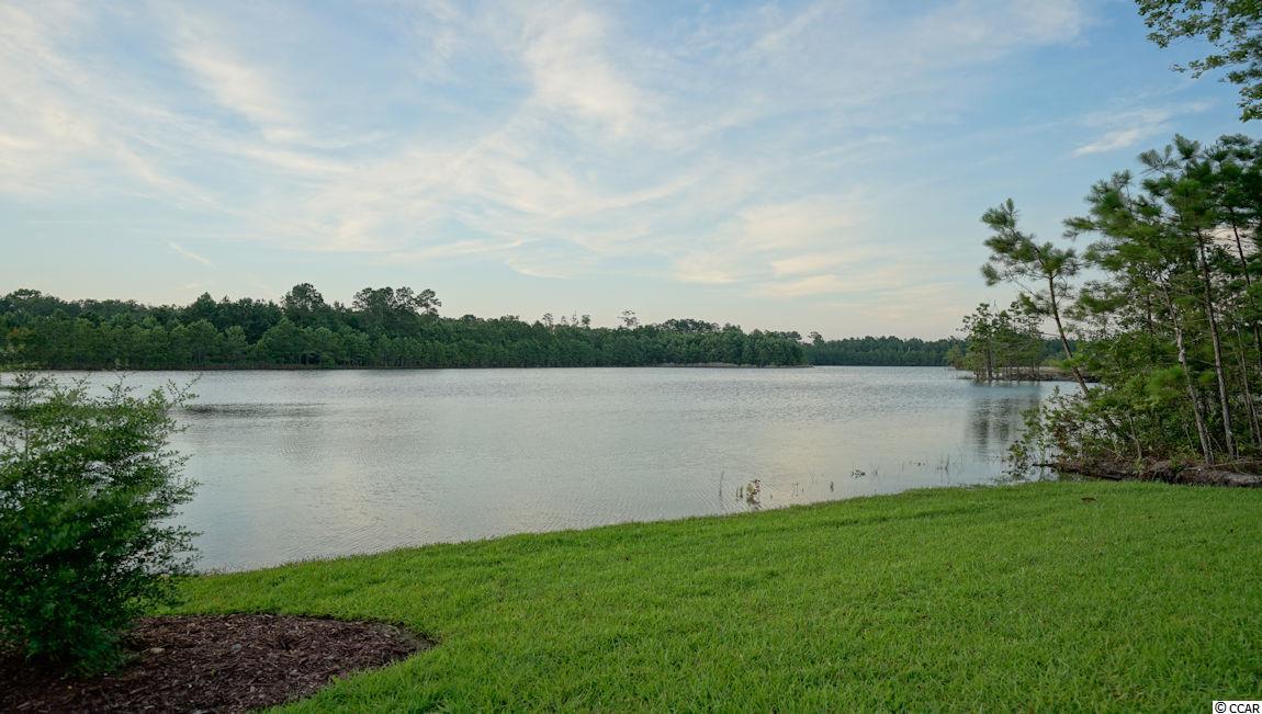 2140 Spring Tree Drive Little River, SC 29566 - Photo 30 of 40