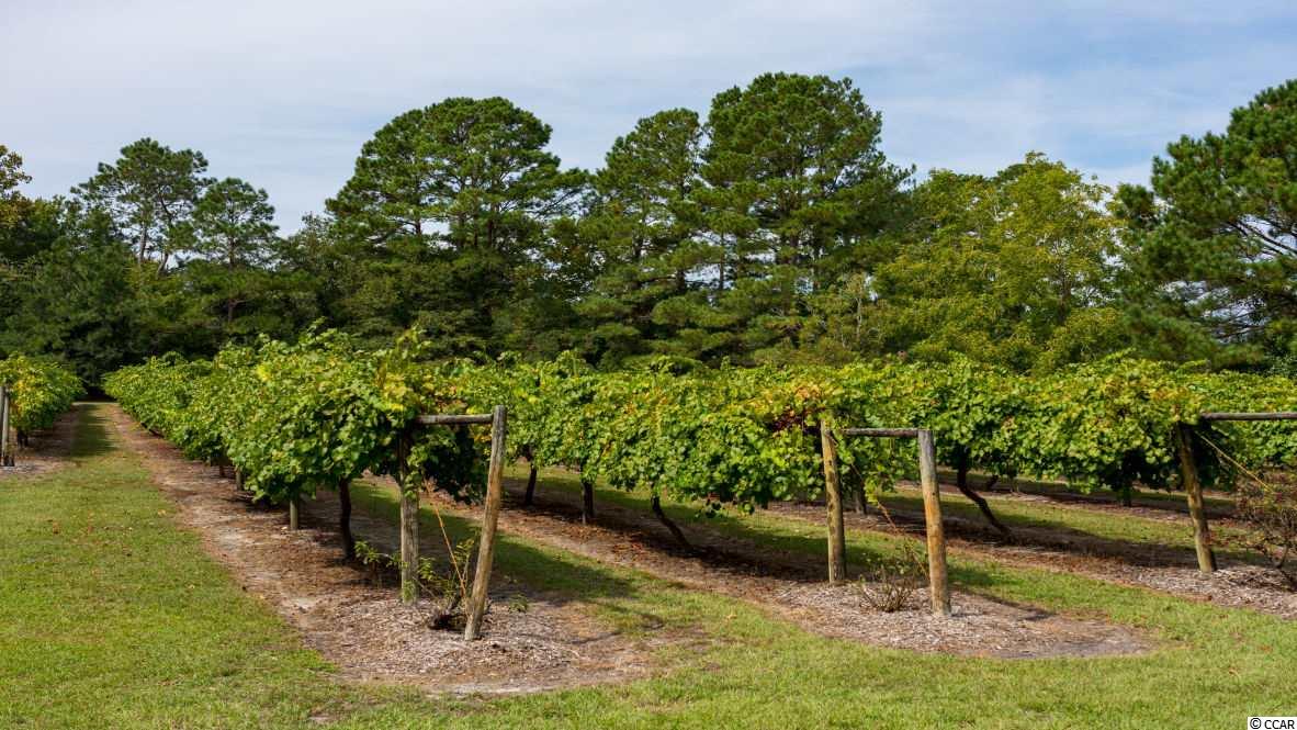 2140 Spring Tree Drive Little River, SC 29566 - Photo 39 of 40