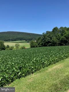7613 Marker Road Middletown, MD 21769 - Photo 2 of 2 Beautiful Mountain and Pastoral Views.