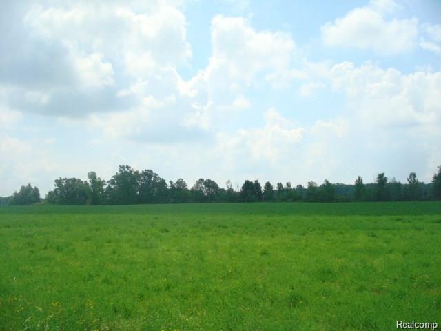 1881 Wheeling Road Imlay City, MI 48444 - Photo 2 of 12 Gallery Image 2