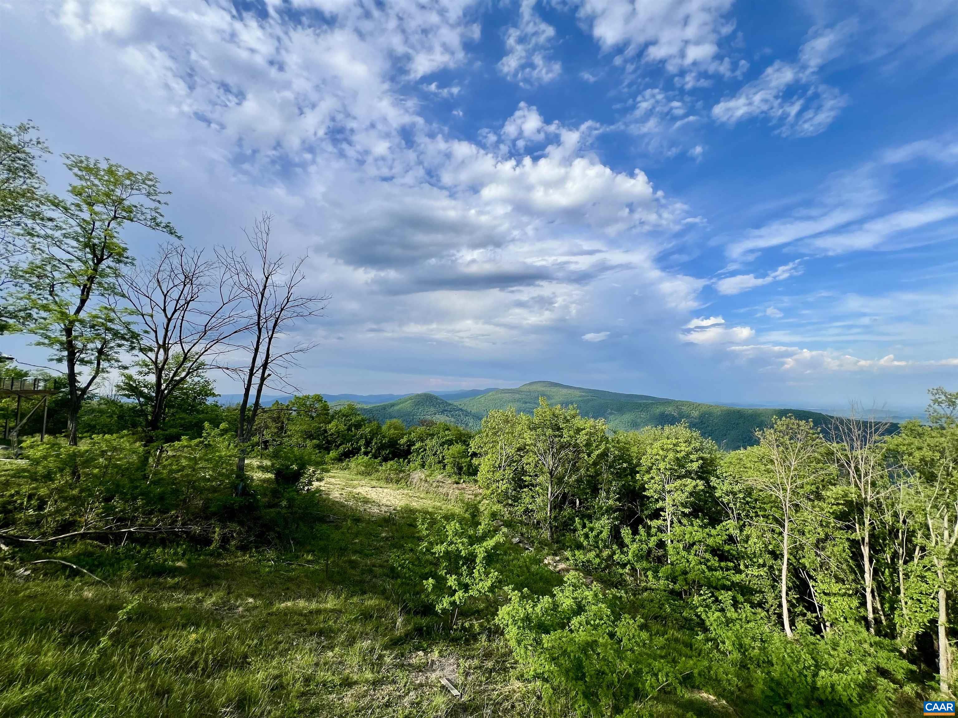 248 Raven Way Free Union, VA 22940 - Photo 45 of 47