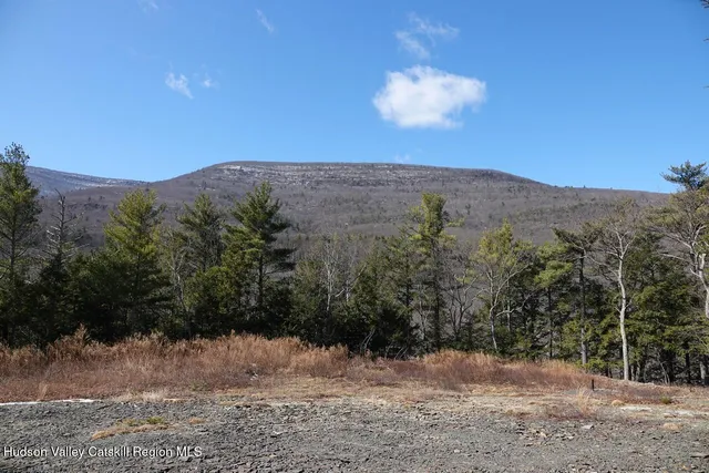a view of a yard with a mountain