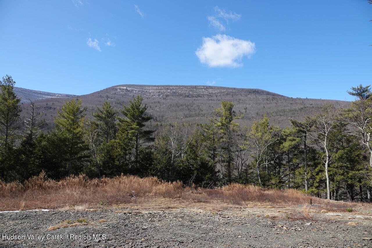 a view of a yard with a mountain