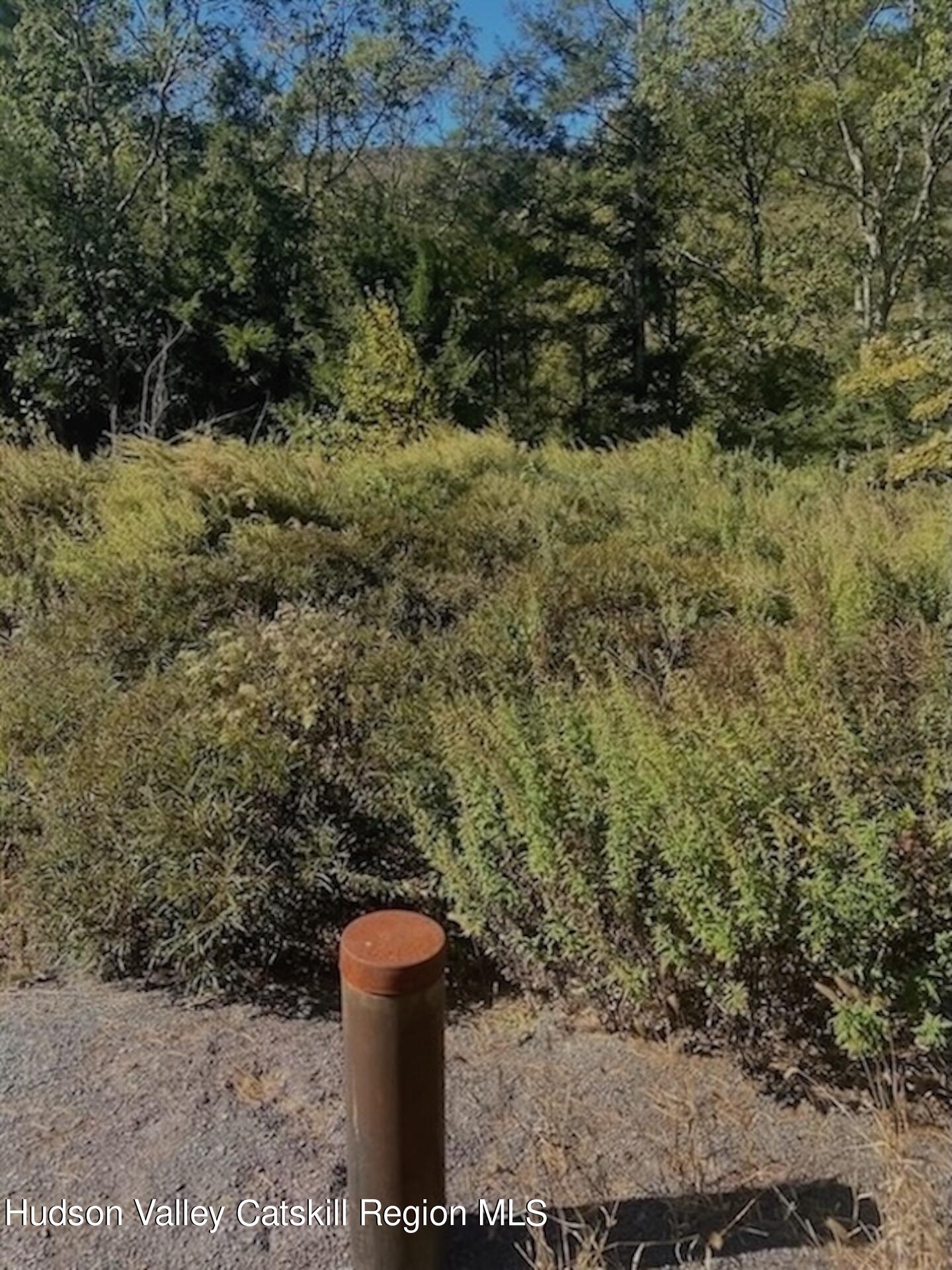 Tbd Manorville Road Saugerties, NY 12477 - Photo 11 of 17 a view of a forest with a fountain
