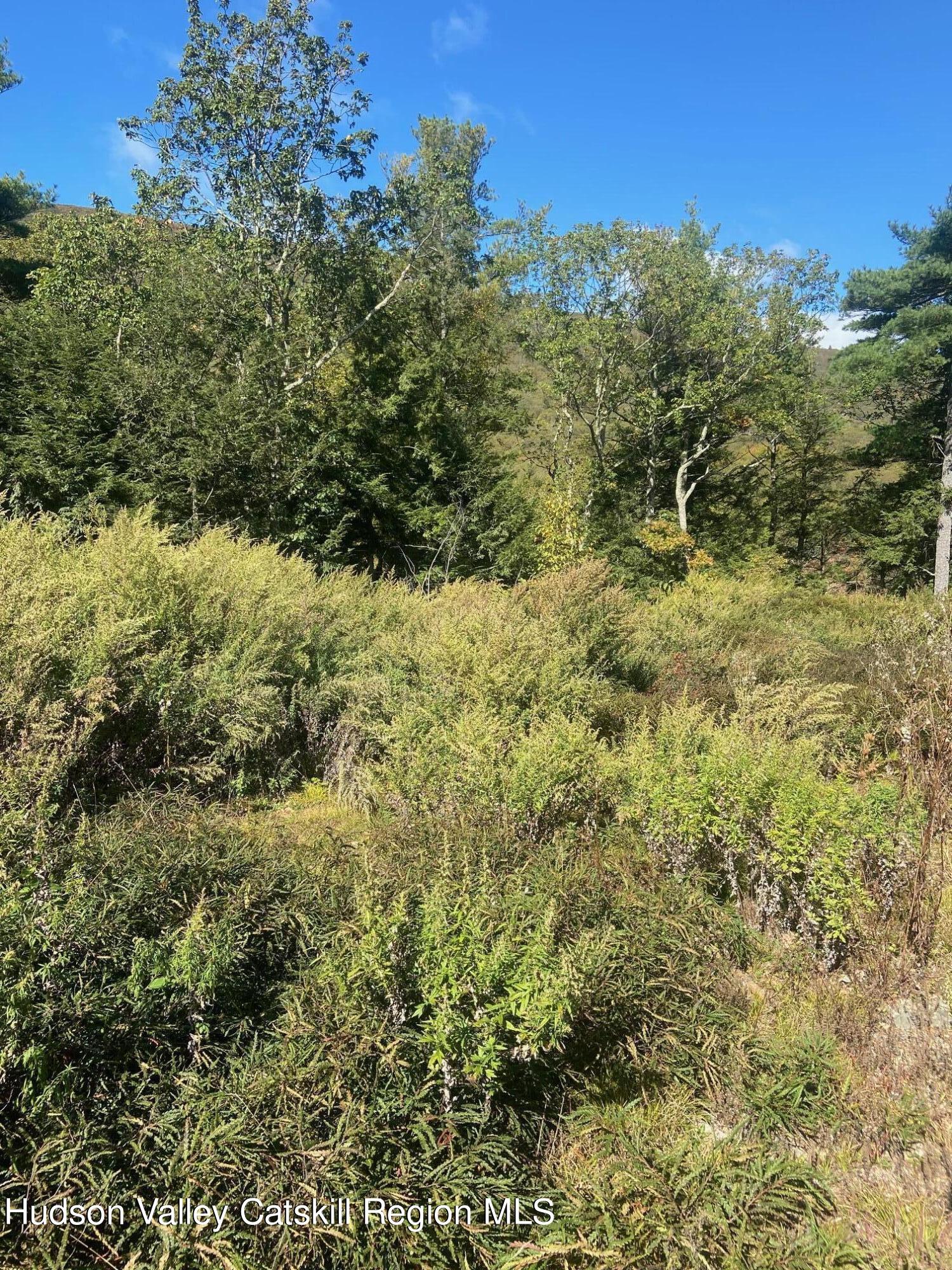 Tbd Manorville Road Saugerties, NY 12477 - Photo 12 of 17 a view of a garden with a building