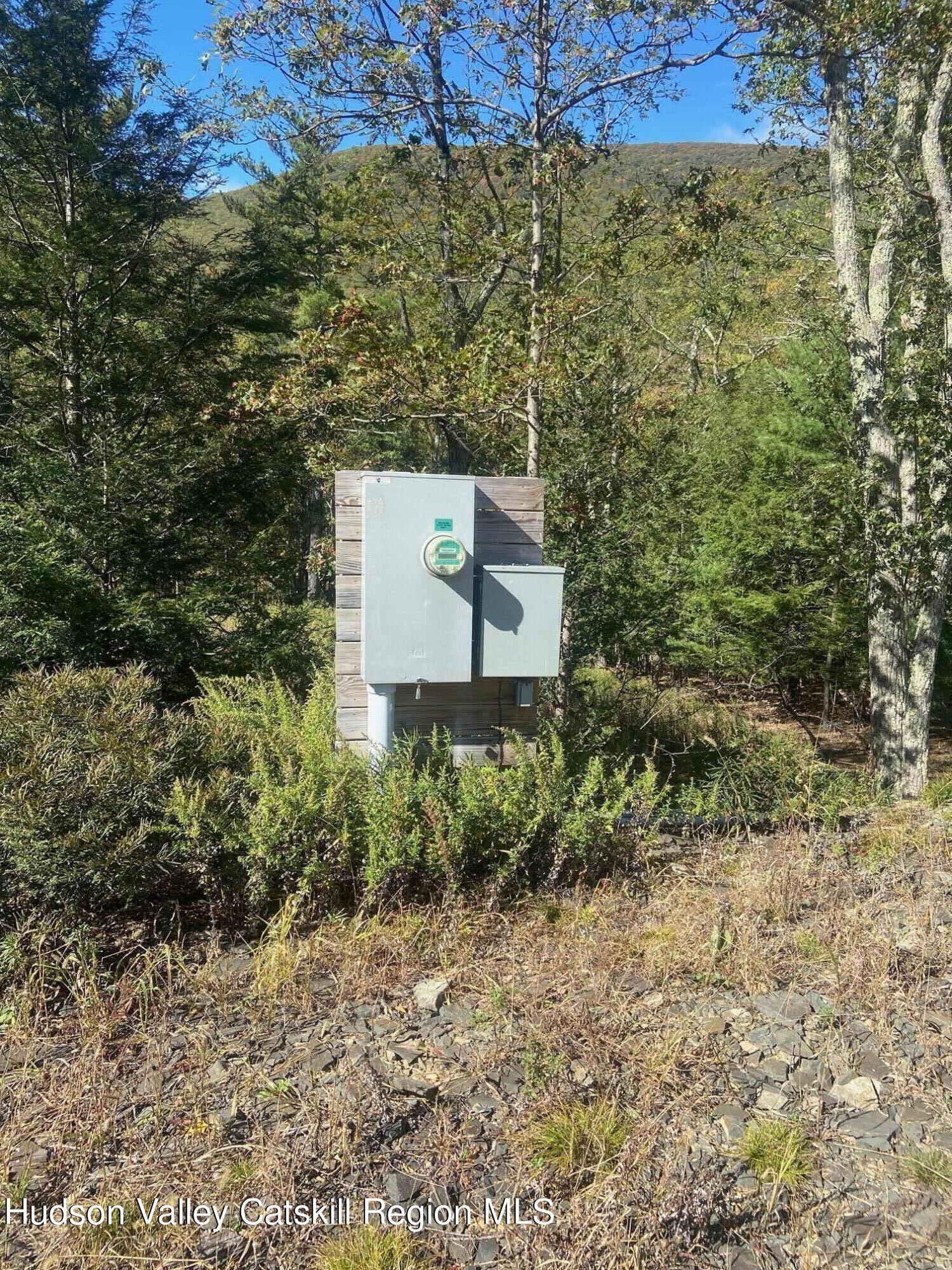 Tbd Manorville Road Saugerties, NY 12477 - Photo 13 of 17 a view of a yard