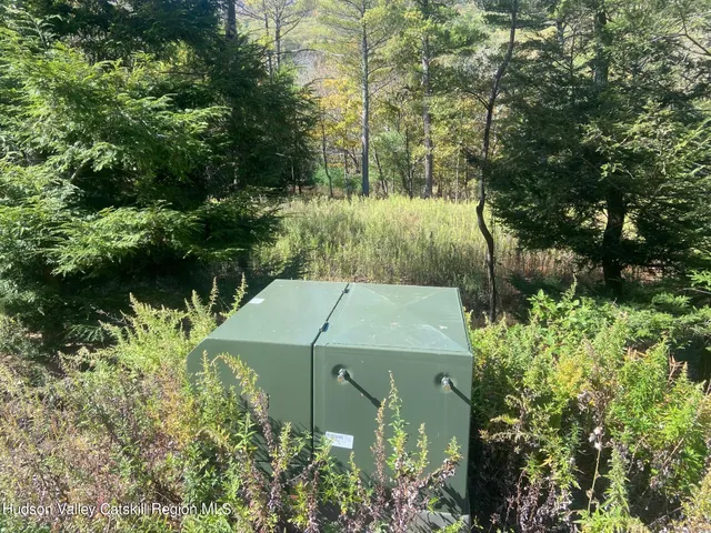 a view of a dry yard