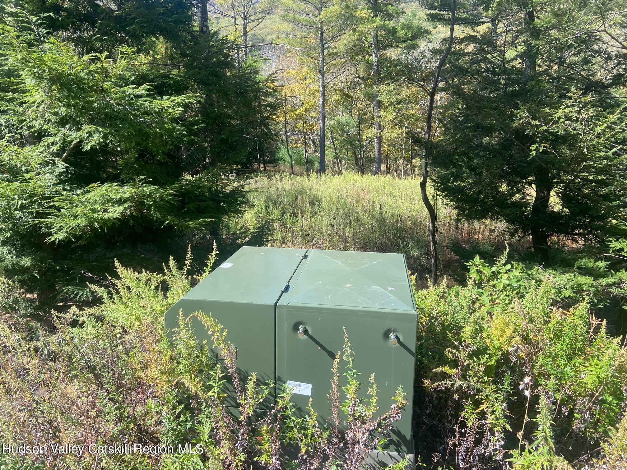Tbd Manorville Road Saugerties, NY 12477 - Photo 14 of 17 an aerial view of a house with a yard and large trees