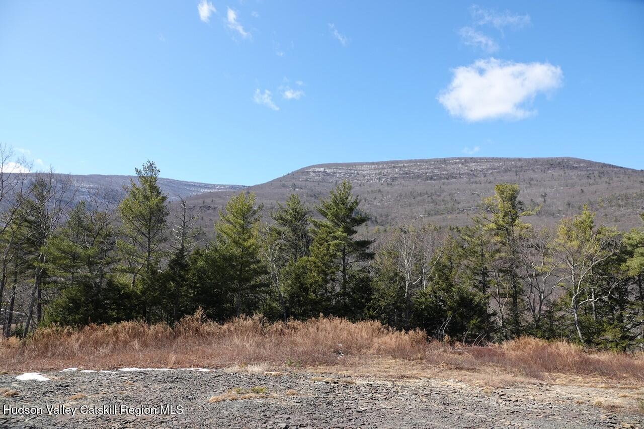 Tbd Manorville Road Saugerties, NY 12477 - Photo 15 of 17 a view of a dry yard