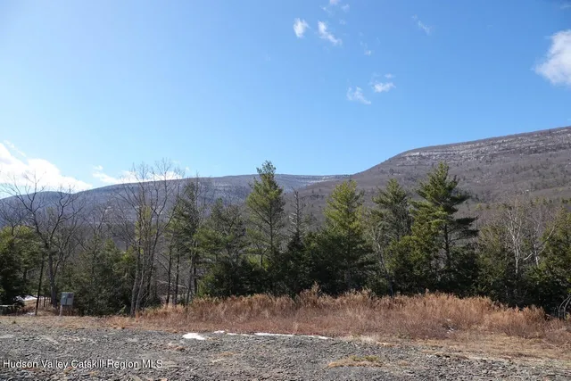 a view of a dry yard with trees