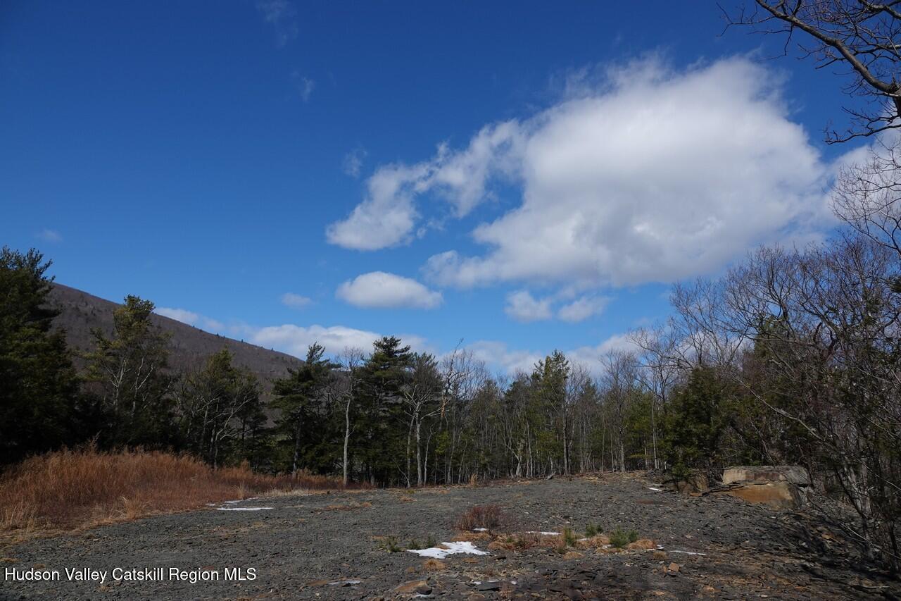 Tbd Manorville Road Saugerties, NY 12477 - Photo 3 of 17 a view of a city with lush green forest