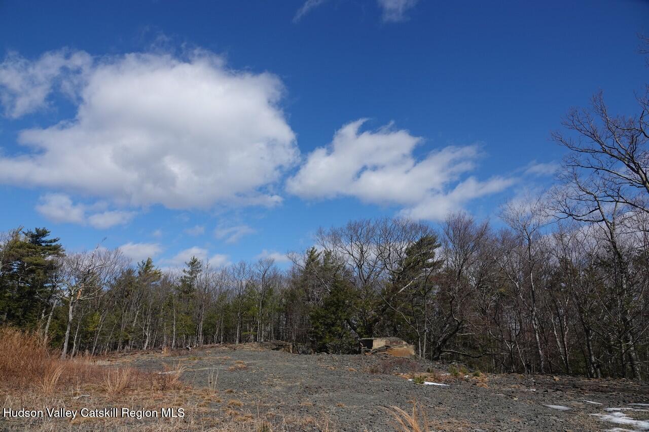 Tbd Manorville Road Saugerties, NY 12477 - Photo 4 of 17 a view of a city with green space