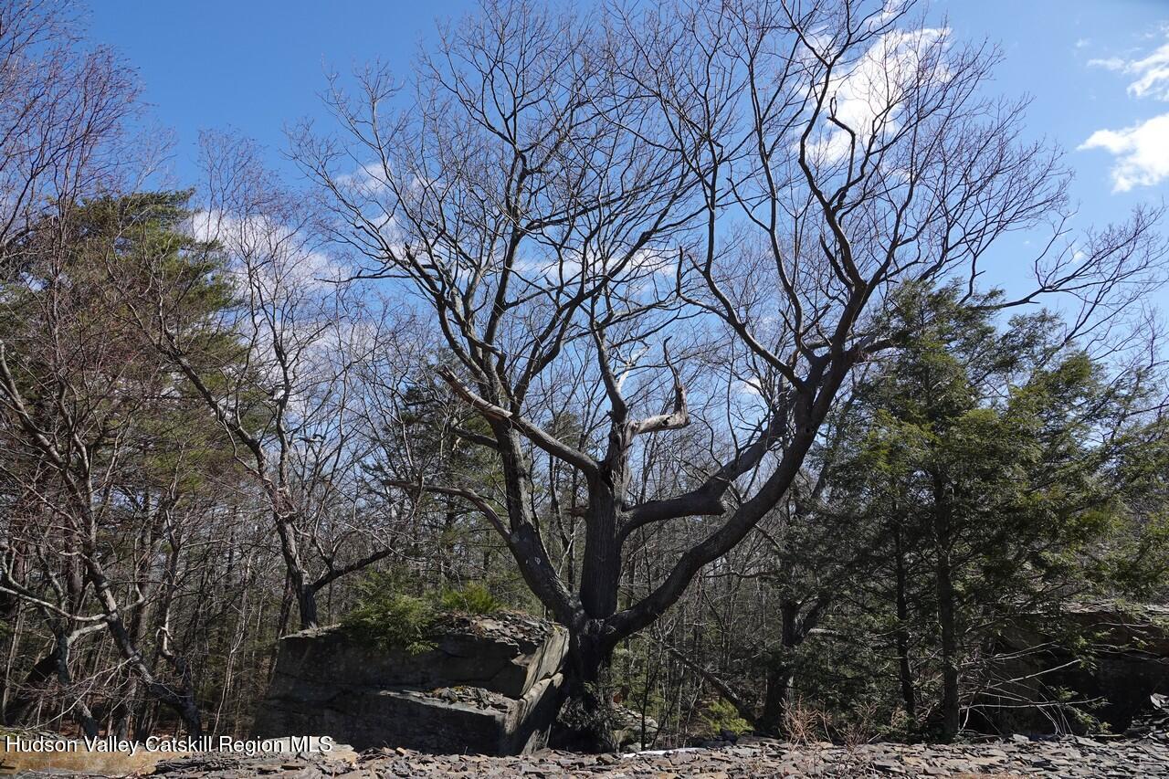 Tbd Manorville Road Saugerties, NY 12477 - Photo 6 of 17