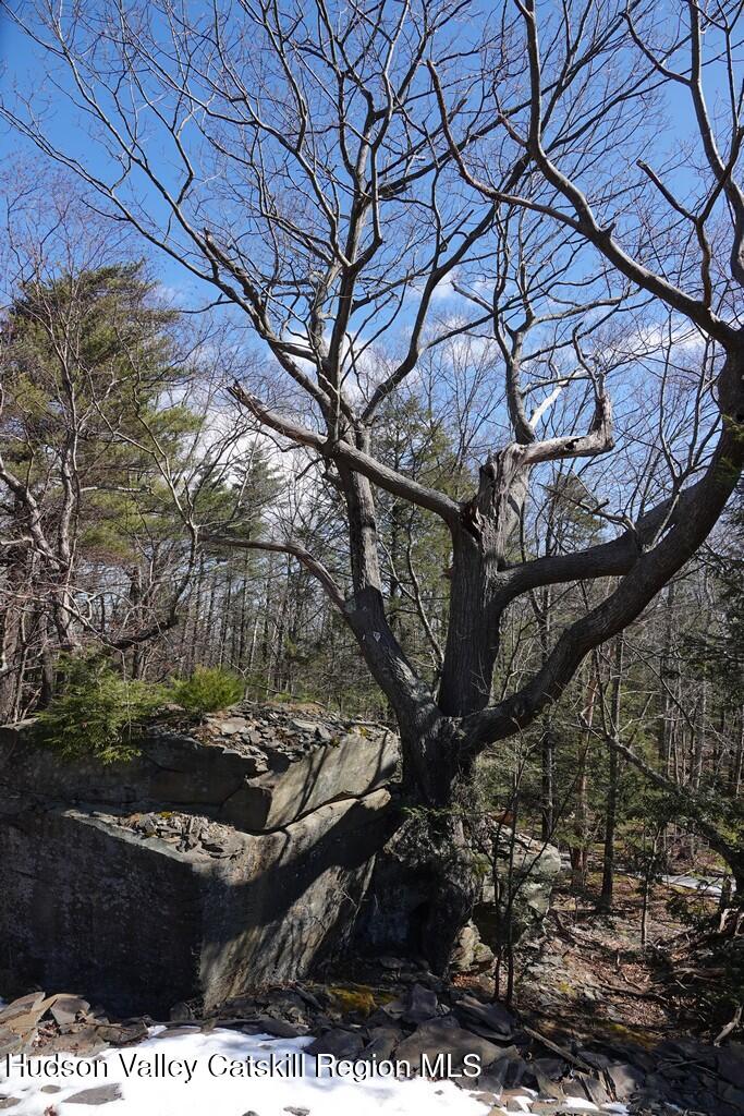 Tbd Manorville Road Saugerties, NY 12477 - Photo 7 of 17 a backyard of a house with lots of green space