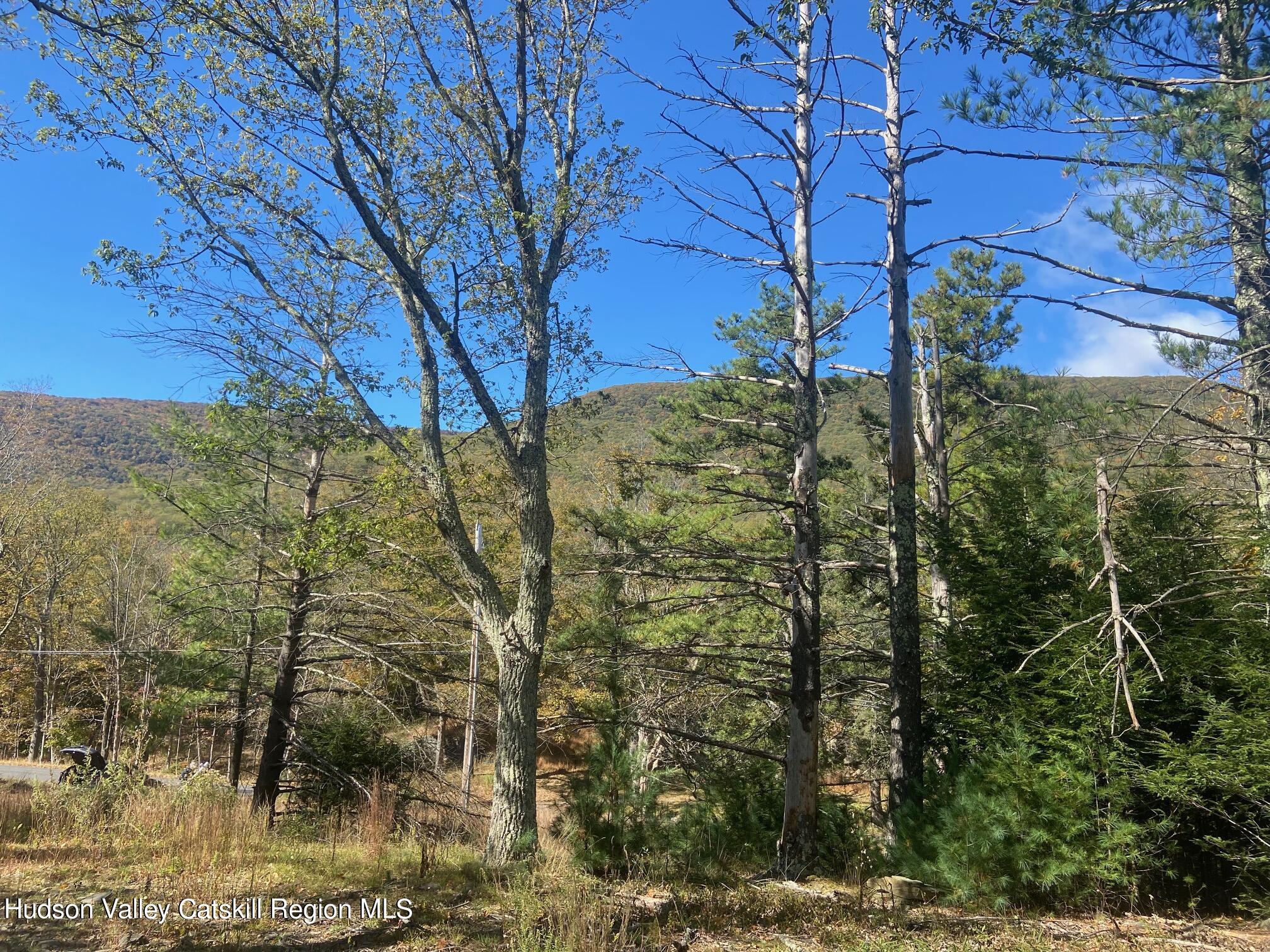 Tbd Manorville Road Saugerties, NY 12477 - Photo 8 of 17 a view of a yard of the building