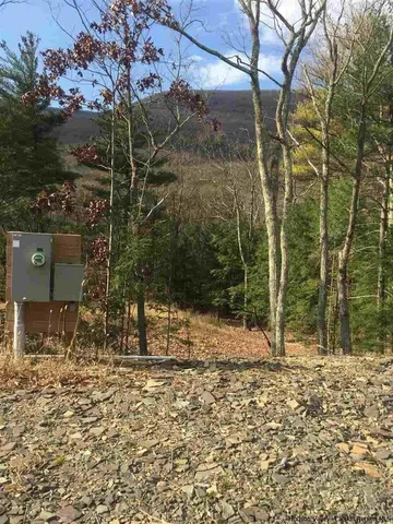 a view of a forest with a fountain