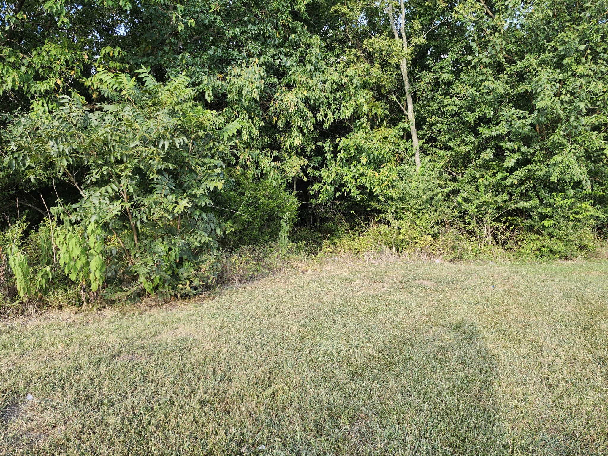 683 Battle Road Nolensville, TN 37135 - Photo 11 of 11 Gallery Image 11