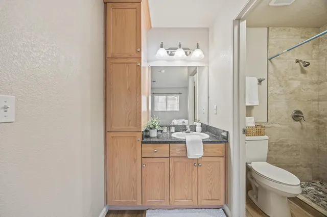 a bathroom with a sink a toilet and shower