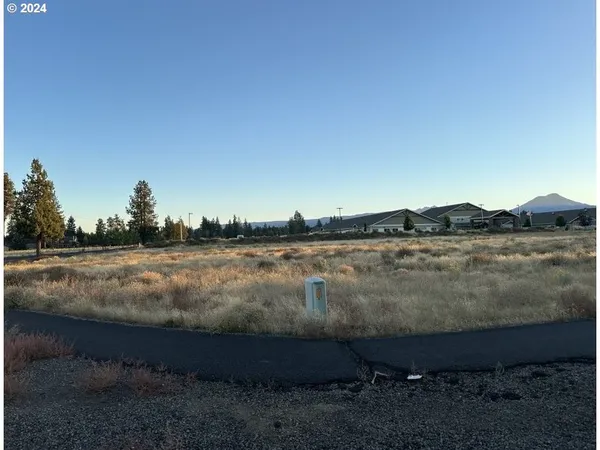 a view of a lake from a yard