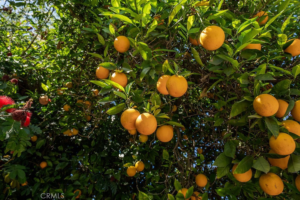 340 East Old Mill Road Corona, CA 92879 - Photo 34 of 35