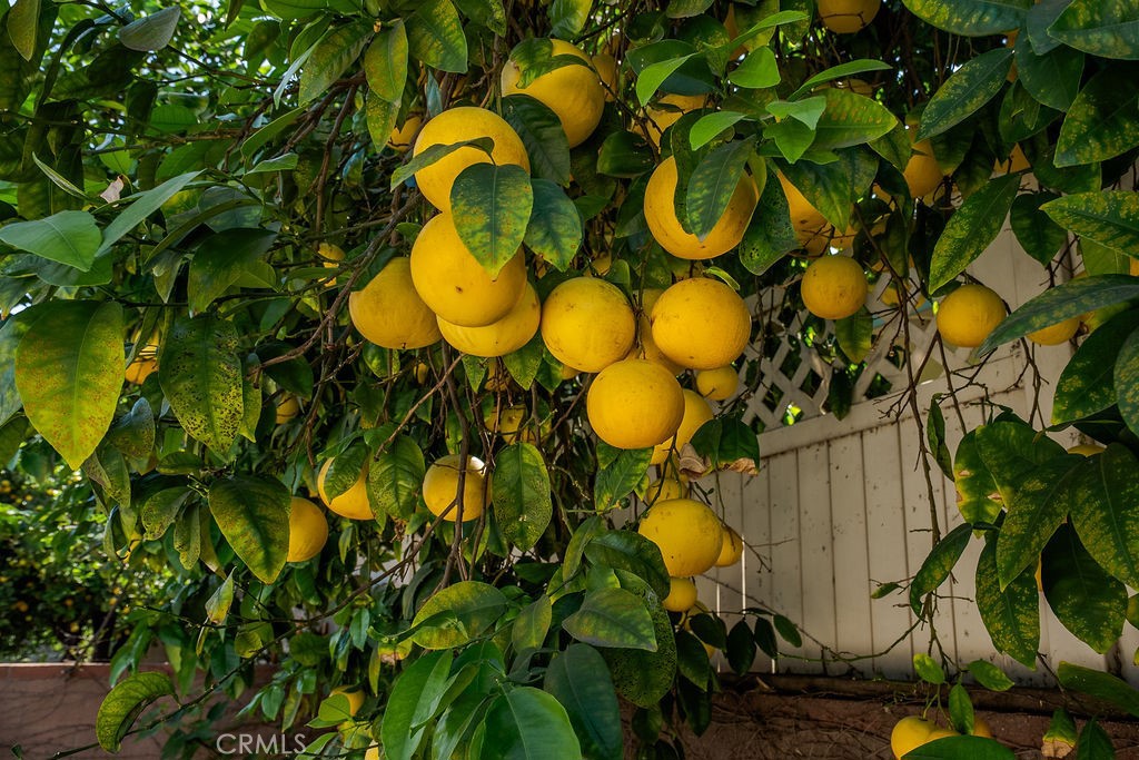 340 East Old Mill Road Corona, CA 92879 - Photo 35 of 35