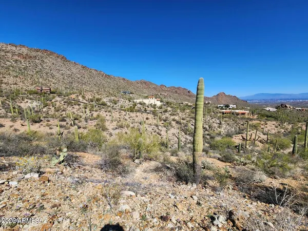 a view of a city with tall trees