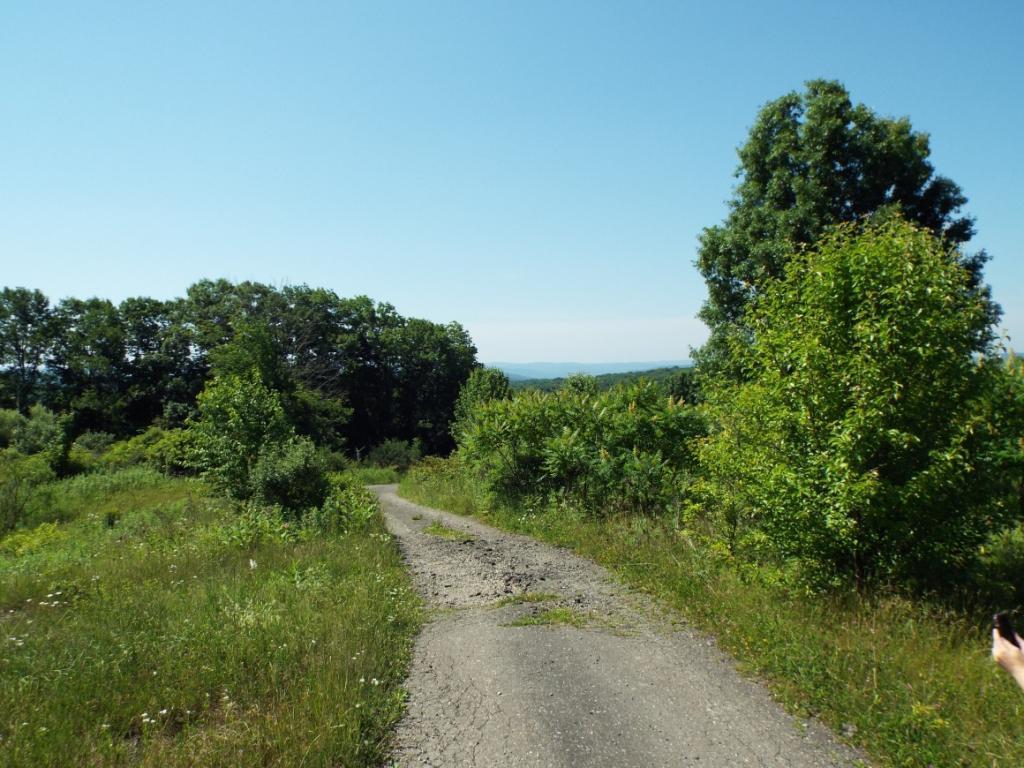 231 Fredericks Road Johnson City, NY 13790 - Photo 1 of 11 Gallery Image 1