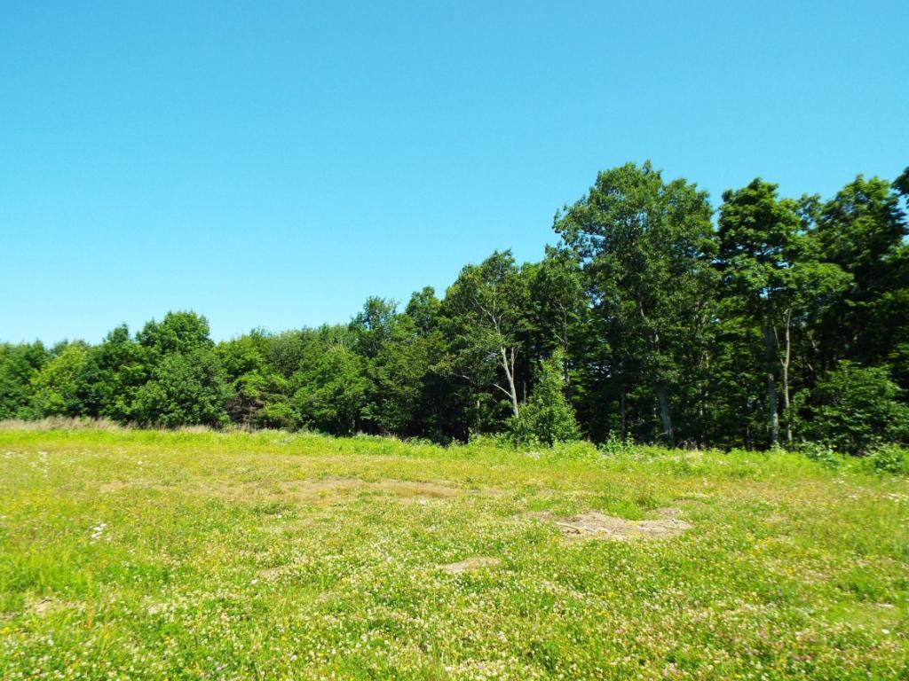 231 Fredericks Road Johnson City, NY 13790 - Photo 3 of 11 Gallery Image 3