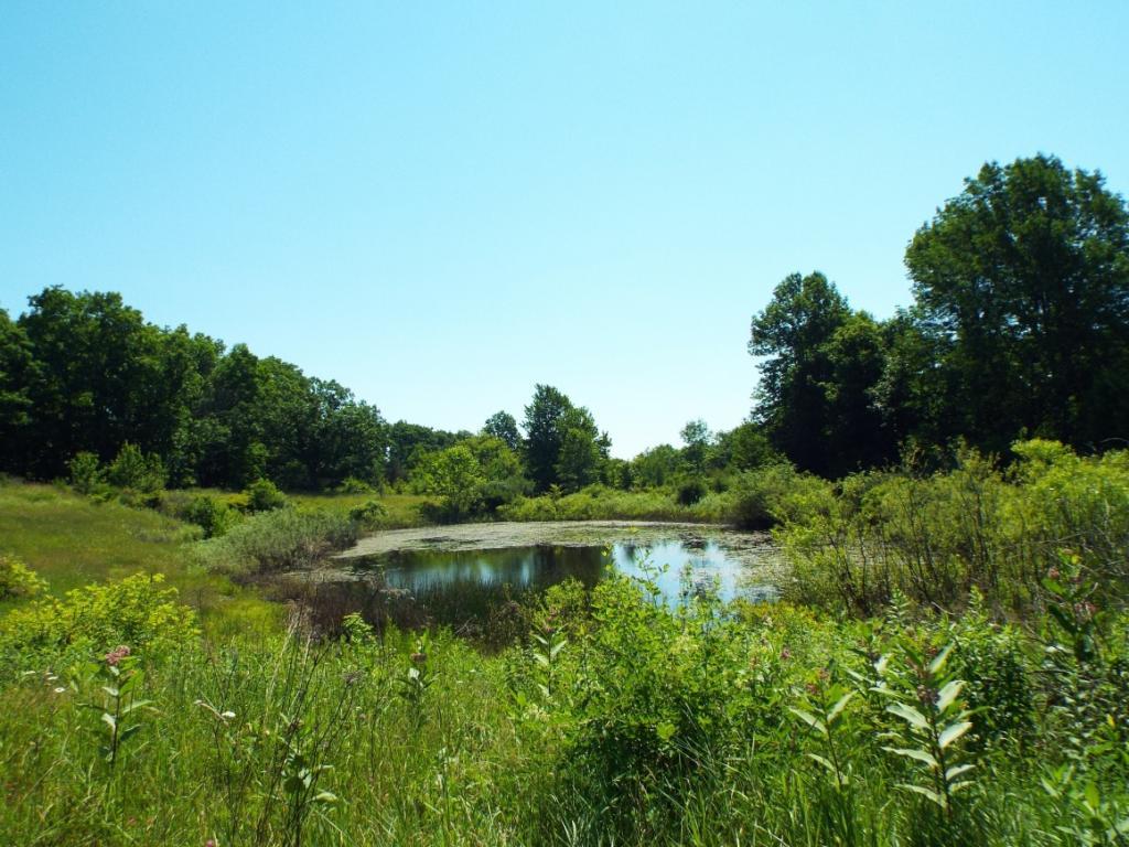 231 Fredericks Road Johnson City, NY 13790 - Photo 8 of 11 Gallery Image 8