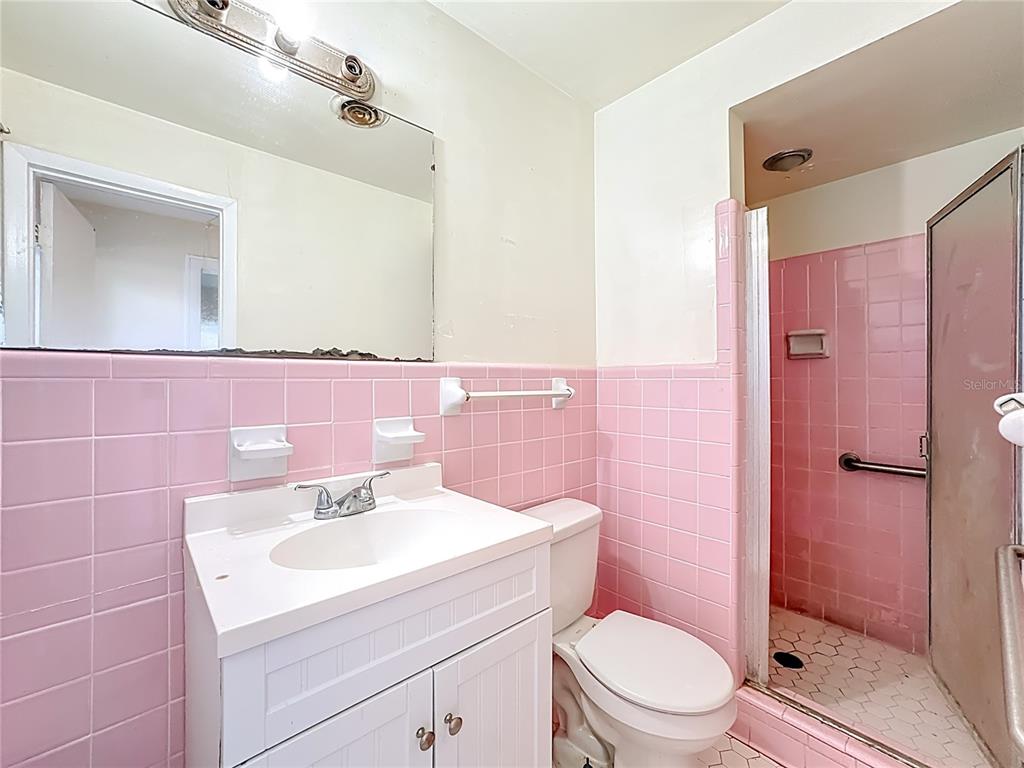4200 Anderson Road Orlando, FL 32812 - Photo 40 of 63 a bathroom with a sink a toilet a mirror and shower