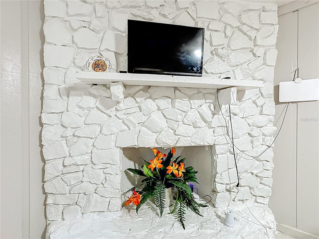 4200 Anderson Road Orlando, FL 32812 - Photo 46 of 63 a living room with a flat screen tv and a wall with a potted plant