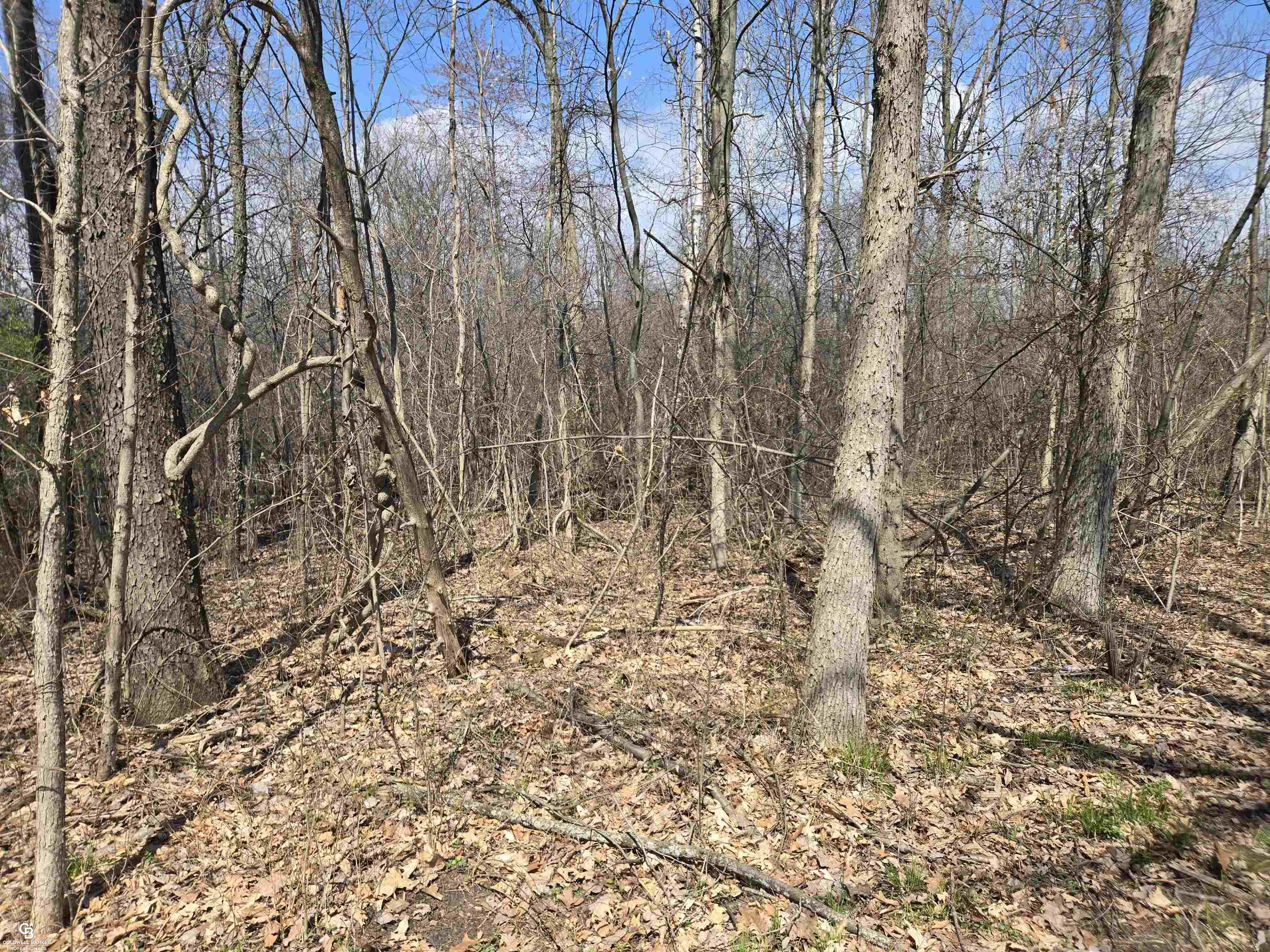 0 Range Vl Road Smiths Creek, MI 48074 - Photo 11 of 11