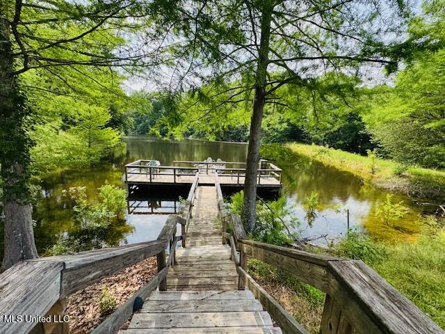 2360 Sullivan Road Meadville, MS 39653 - Photo 16 of 89 IMG_4406