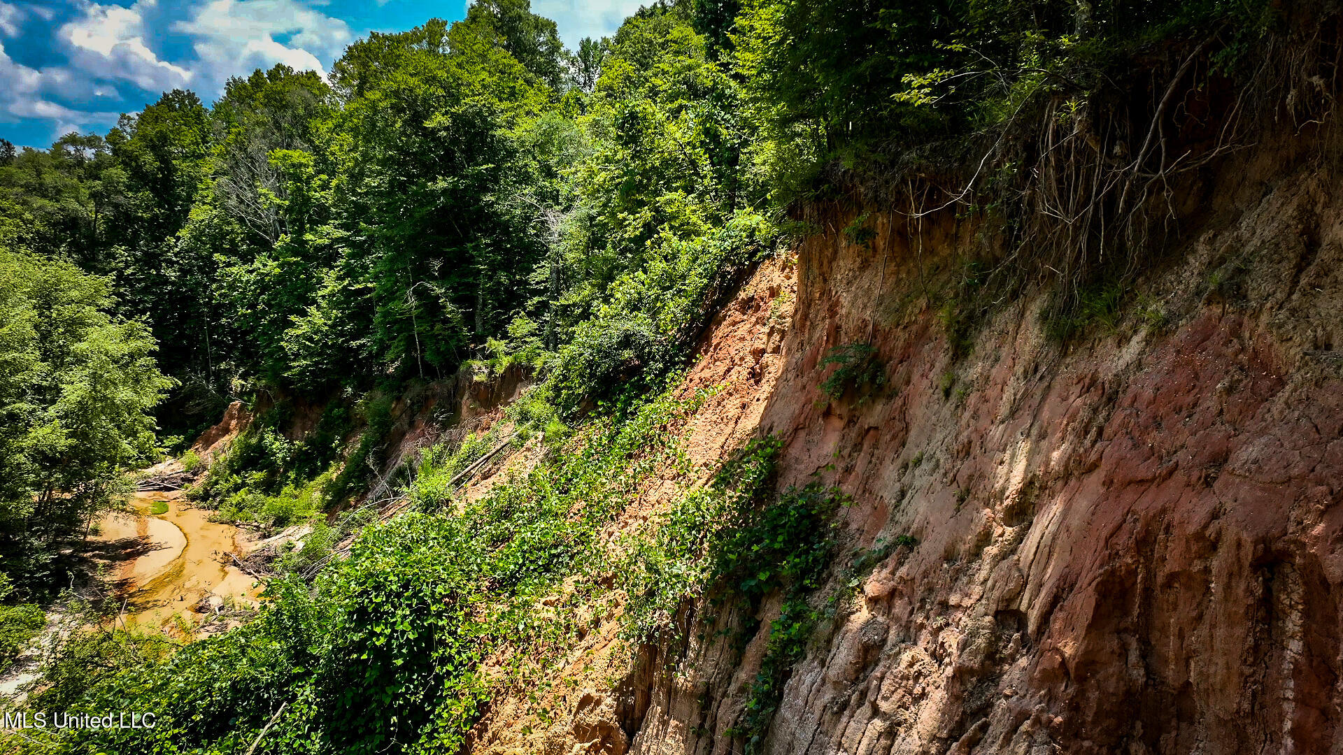 2360 Sullivan Road Meadville, MS 39653 - Photo 2 of 89 cliff