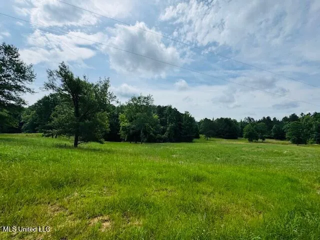 $999,950 | 2360 Sullivan Road, Meadville, MS 39653