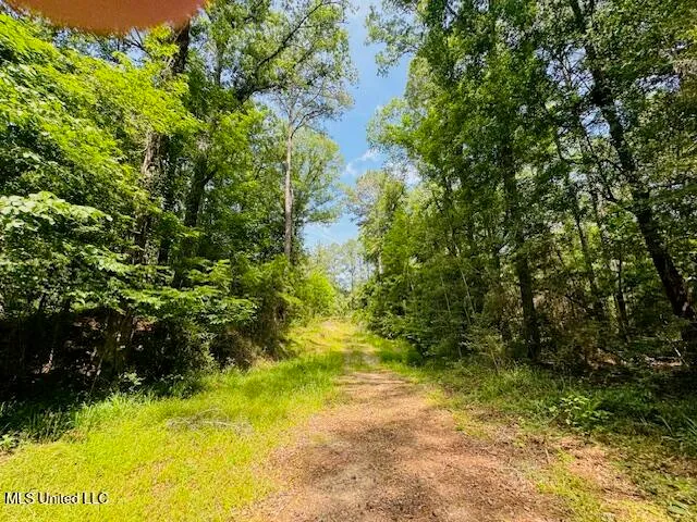 $999,950 | 2360 Sullivan Road, Meadville, MS 39653