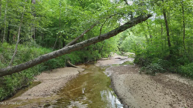 $999,950 | 2360 Sullivan Road, Meadville, MS 39653